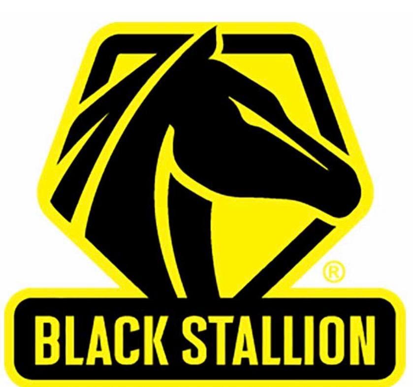 Black Stallion